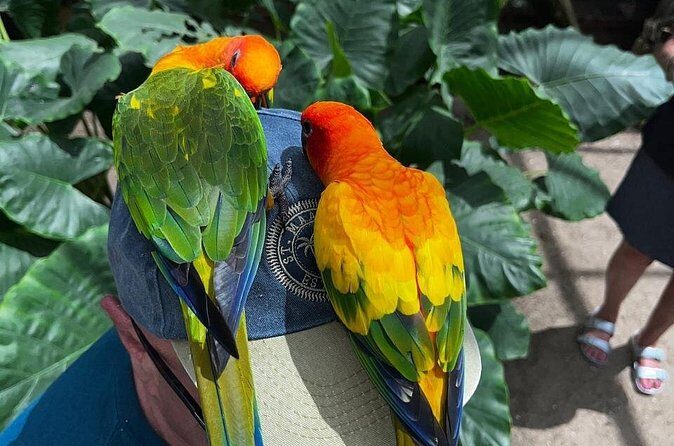 Celeb Island Adventure Tour - FAQ