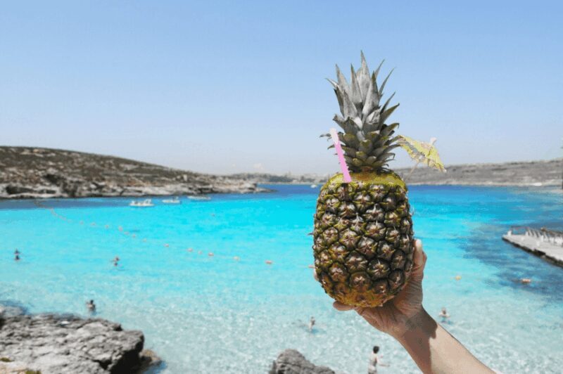 Celebration Sail - Lovers Cave, Comino, Gozo & Blue Lagoon - Practical Details and What to Bring