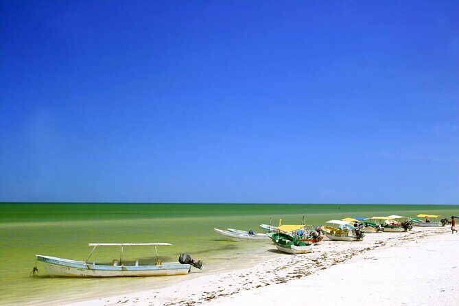Celestun Beach and Mangrove Boat Ride from Merida - Experience the Wonders of Celestun: A Full-Day Nature Adventure from Merida