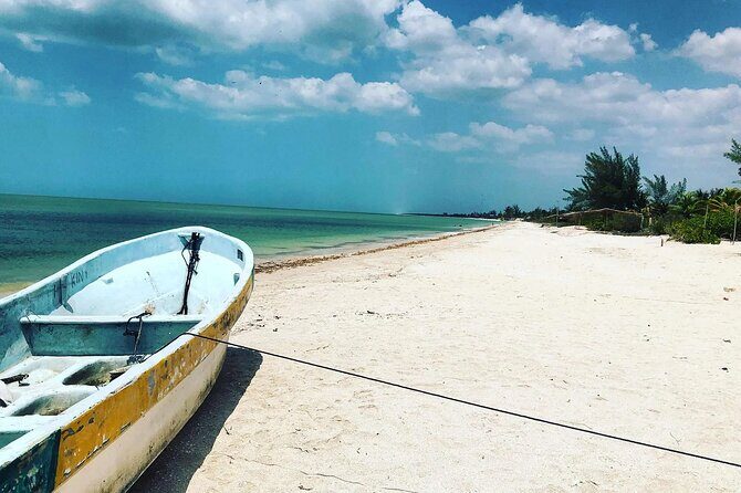 Celestun Beach and Mangrove Boat Ride from Merida - Who Should Consider This Tour?