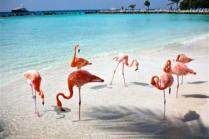 Celestun Beach and Mangrove Boat Ride from Merida - FAQ: Your Top Questions Answered