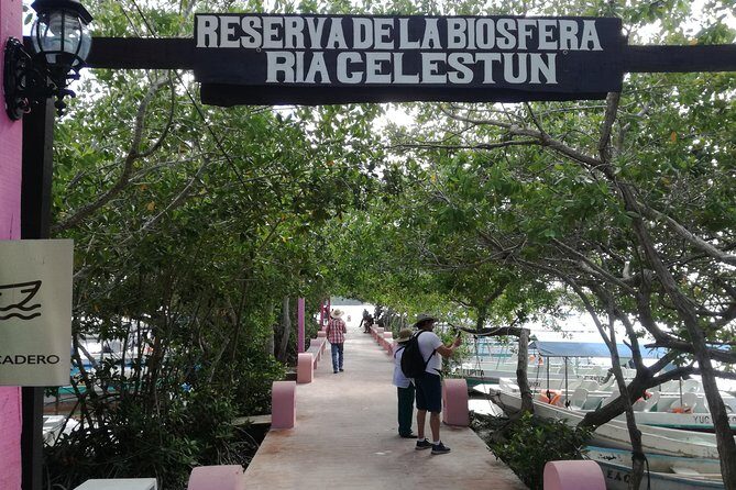 Celestun Biosphere Reserve Tour from Merida - The Itinerary Breakdown