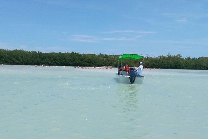 Celestun Biosphere Reserve Tour from Merida - Who Will Love This Tour?