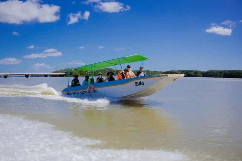 Celestún Flamingos, Beach, and Seafood Lunch Tour from Merida - Why This Tour Works for You