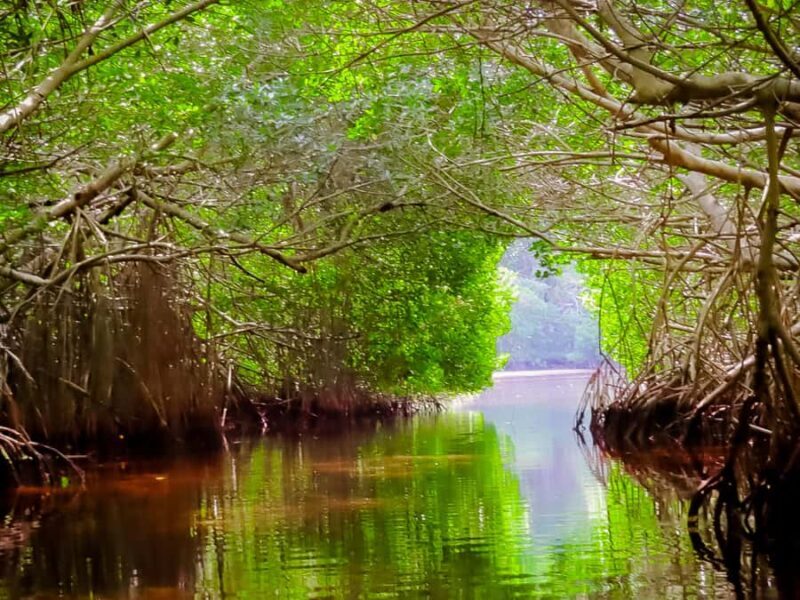 Celestún Flamingos, Beach, and Seafood Lunch Tour from Merida - FAQ