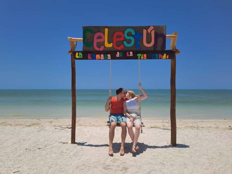 Celestun + Lunch, Boat Ride & beach time. - Discovering the Wonders of Celestún: Flamingos, Wildlife, and Beach Relaxation