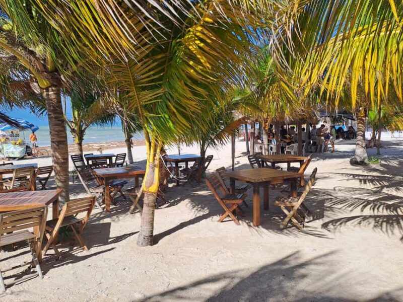 Celestun + Lunch, Boat Ride & beach time. - Who Would Love This Tour?