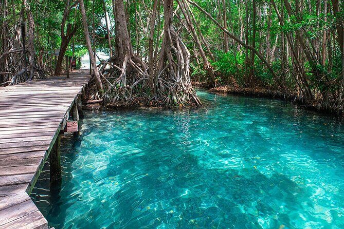Celestun mangrove boat tour from Mérida - Who Will Love This Tour?