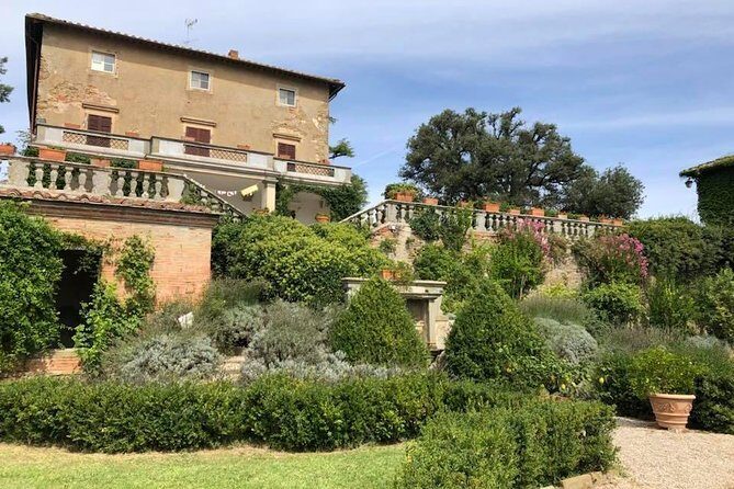 Cellar Tour & Wine Tasting - A Private Taste of Tuscany: Cellar Tour & Wine Tasting near Arezzo