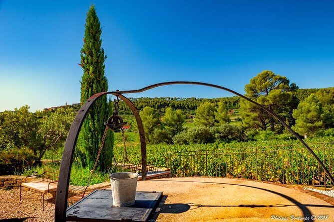 Cellar Visit & Bandol Wine Tasting (in French) - Key Points