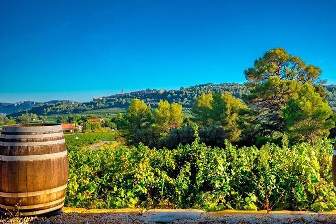 Cellar Visit & Bandol Wine Tasting (in French) - Who Should Consider This Experience?