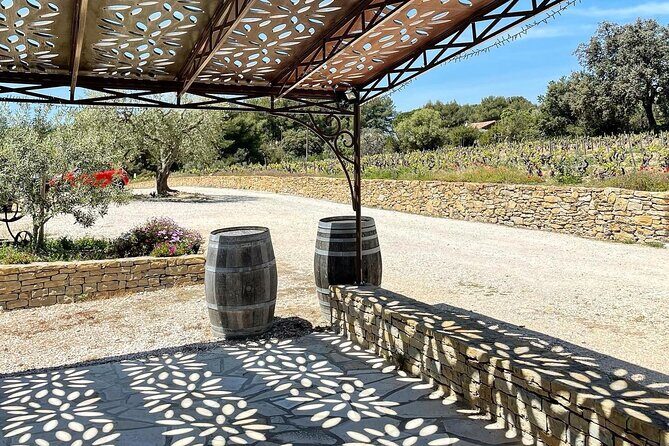 Cellar Visit & Bandol Wine Tasting (in French) - Final Thoughts