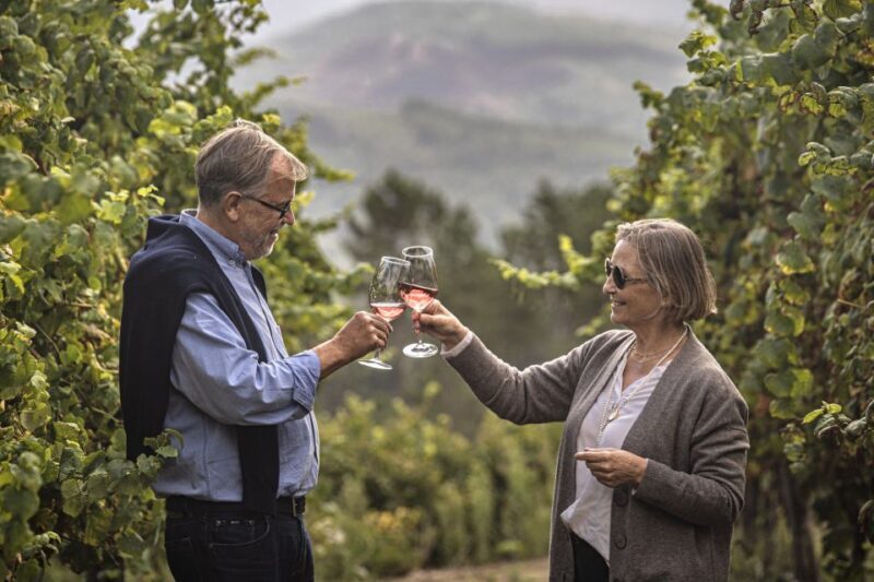 Celorico De Basto: Quinta de Santa Cristina Winery Tour - Final Thoughts