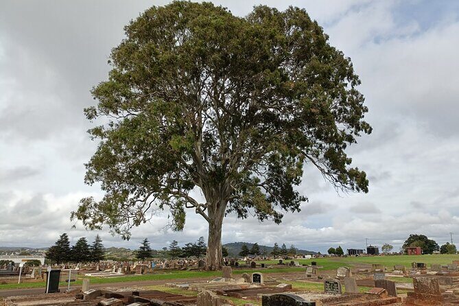 Cemetree Tour, Roots of Toowoomba's History from Harristown - A Detailed Look at the Cemetree Tour