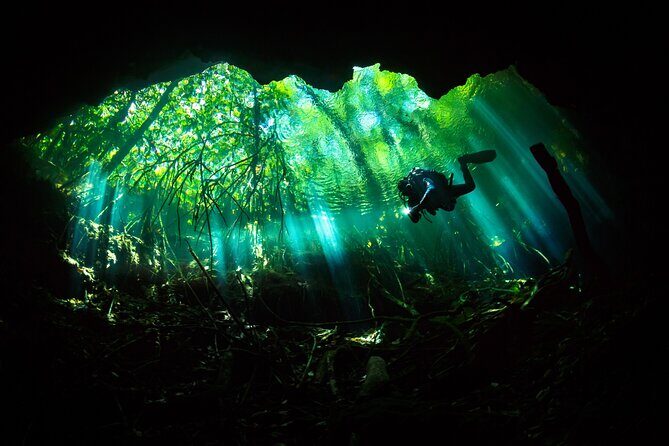 Cenote Diving - 2 Tank Dive Trip for Certified Divers - The Sum Up