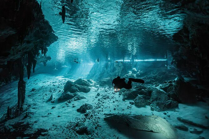 Cenote El Pit and Dos Ojos Dive Trip - Short Introduction