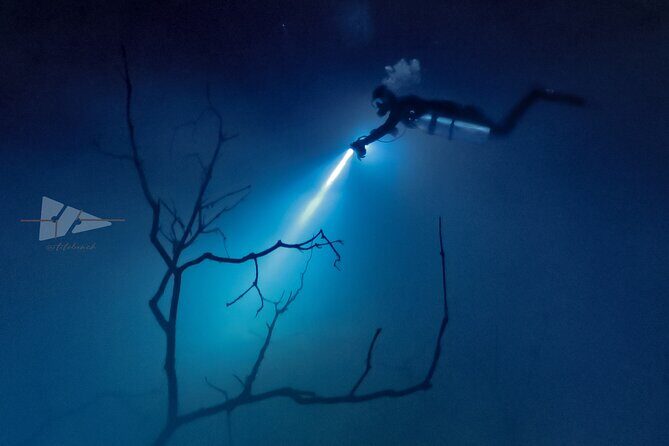 Cenote El Pit and Dos Ojos Dive Trip - Key Points