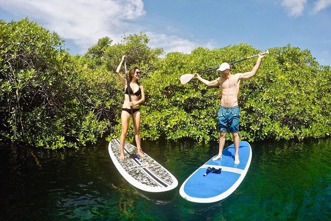 Cenote Paddleboarding and Snorkeling in Tulum - Additional Information