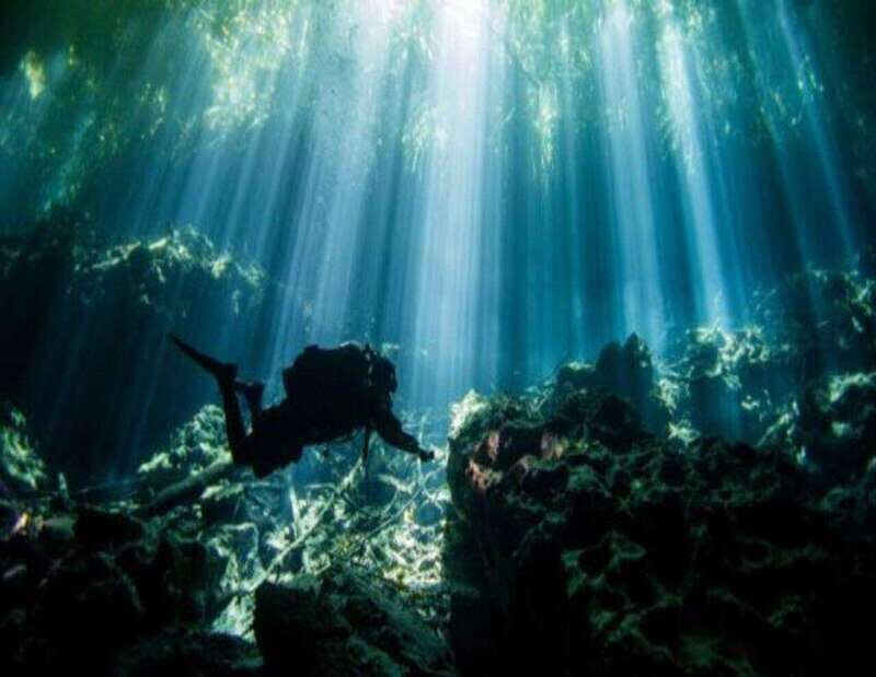 Cenote PRO Just for Experts - FAQ