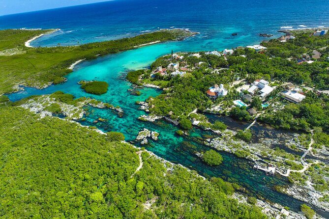 Cenote; Snorkeling and Photos with Colorful Fish - Key Points