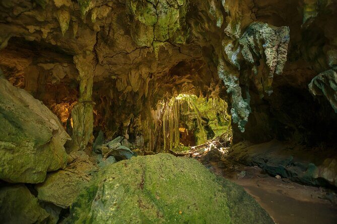 Cenote Swim, Cave Exploration and Plantation Tour in Punta Cana - Who Will Love This Tour?