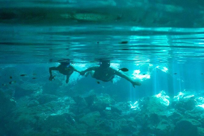 Cenotes and Snorkel - Exploring Cancuns Hidden Water Wonders