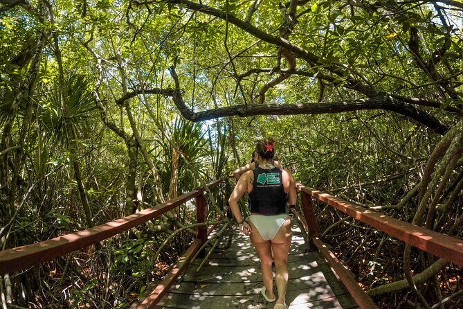 Cenotes Casa Tortuga: 4 Cenotes Day Pass + Kayak - Key Points