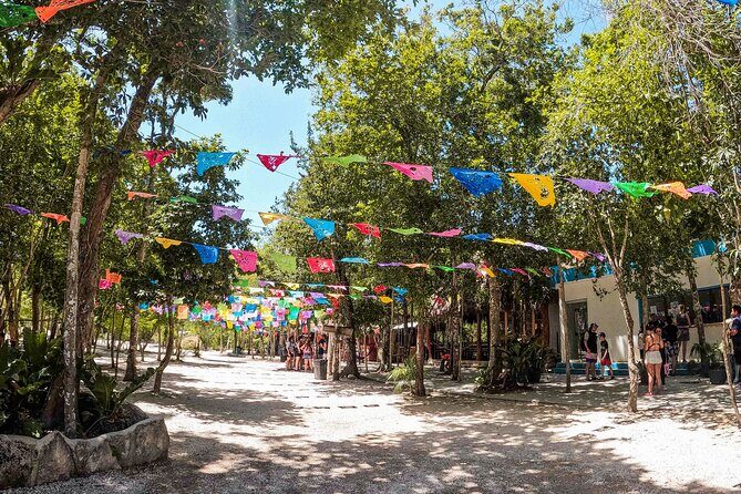 Cenotes Casa Tortuga: 4 Cenotes Day Pass + Kayak - Final Thoughts