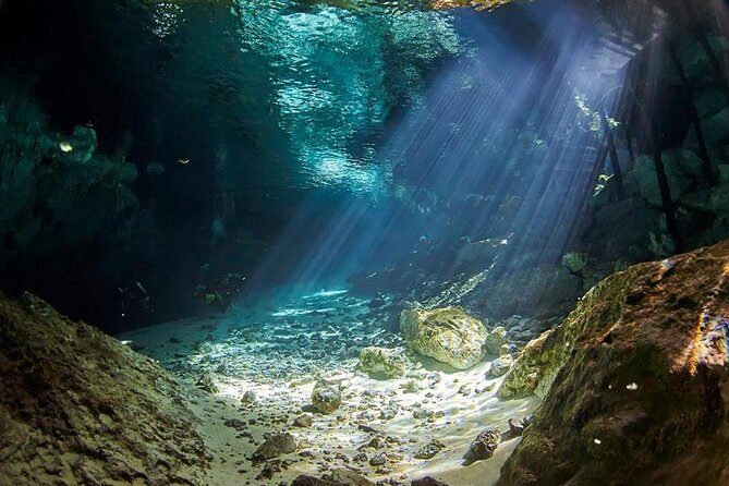 Cenotes diving - Exploring the Cenotes Diving Tour: A Deep Dive into the Experience