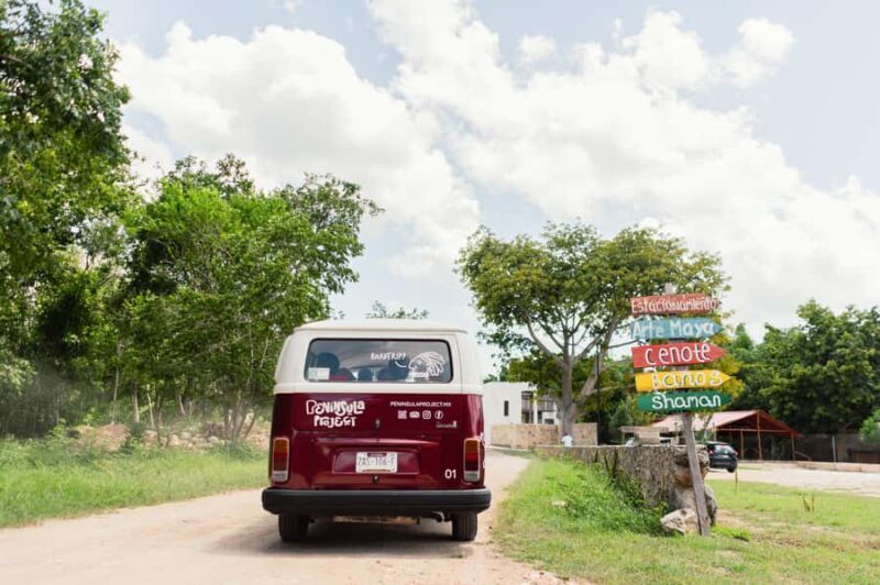Cenotes roadtrip in classic van around Valladolid - Experience the Authentic Yucatán: Cenotes Roadtrip in a Classic VW Combi