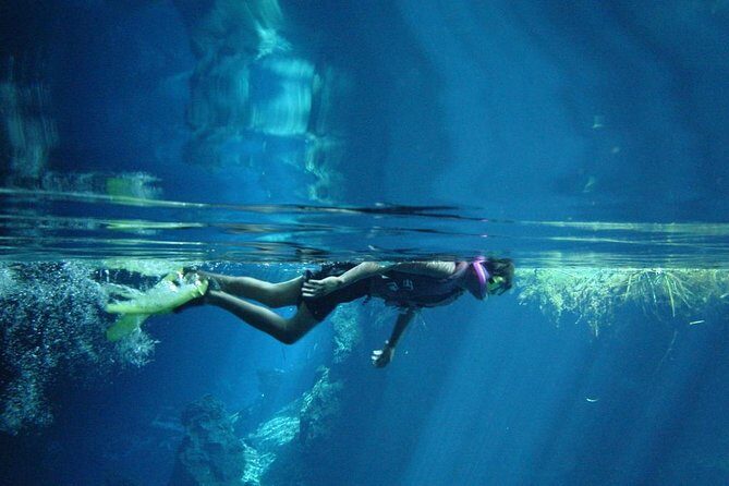 Cenotes snorkeling excursion - Who Will Love This Tour?