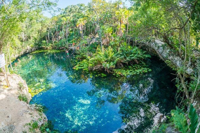 Cenotes Taak Bi Ha & Nicte Ha  VIP Snorkeling Private Tour - The Experience in Detail