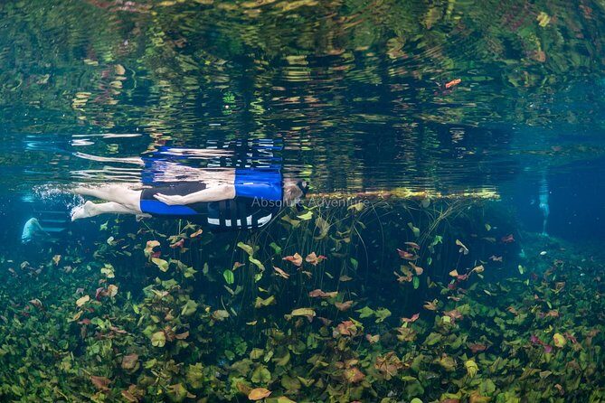 Cenotes Taak Bi Ha & Nicte Ha  VIP Snorkeling Private Tour - FAQ