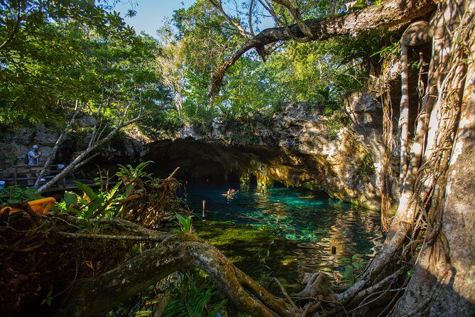 Cenotes trail jungle bike tour in Tulum with lunch - Authentic Experiences and Value