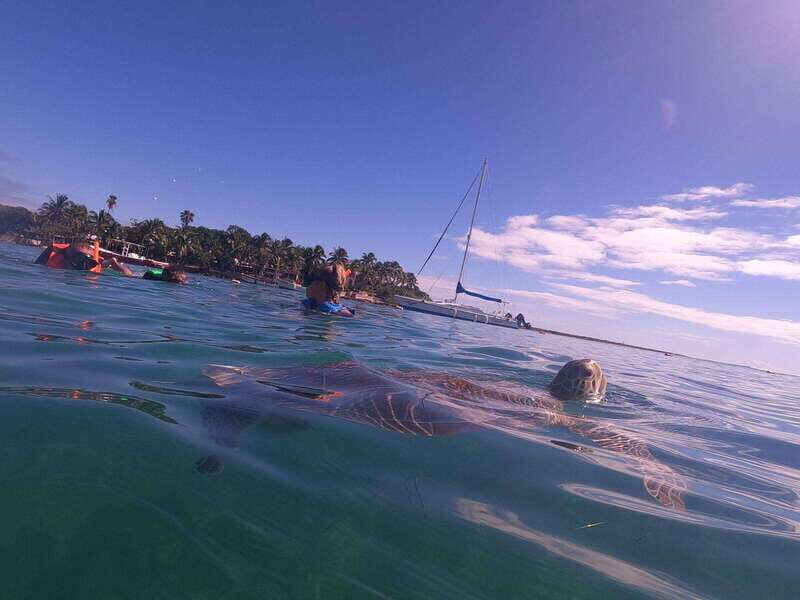 CENOTES TULUM/AKUMAL: 4 Cenotes in Mayan community and snorkeling with turtles - The Sum Up
