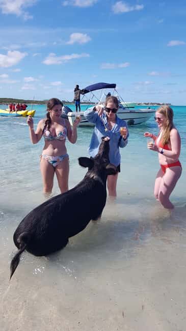 Center Console Private Bahamas Boat Charter - Why This Tour Works