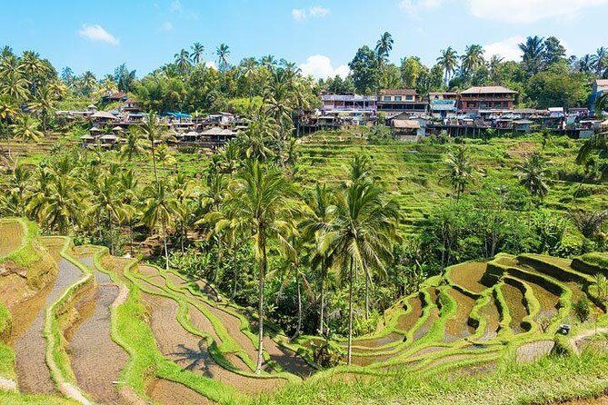 Central Bali Tour: Ubud Village, Kintamani Volcano, and Waterfall - Transportation & Service