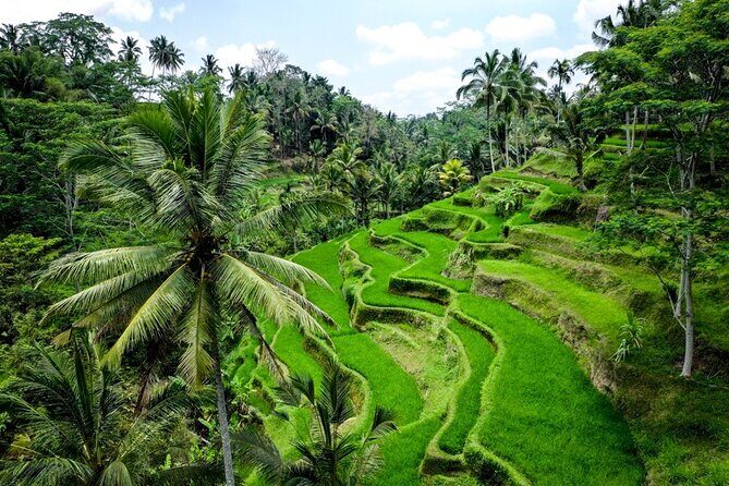 Central Bali Tour: Ubud Village, Kintamani Volcano, and Waterfall - Authentic Experiences & Genuine Reviews