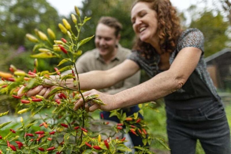 Central Coast NSW: The Winemakers Secret Garden Tour - A Detailed Look at the Experience