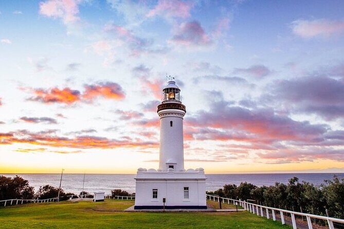 Central Coast Private Day Tour | Beaches, Bays and Wildlife & Reptile Park Entry - A Closer Look at the Experience