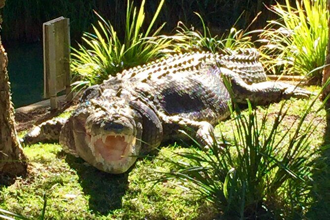 Central Coast Private Tour From Sydney, with Australian Reptile Park Option - Frequently Asked Questions