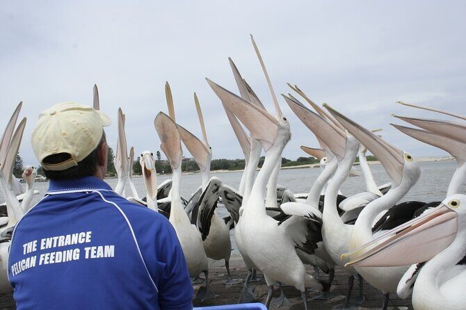 Central Coast Private Tour From Sydney, with Australian Reptile Park Option - Final Thoughts
