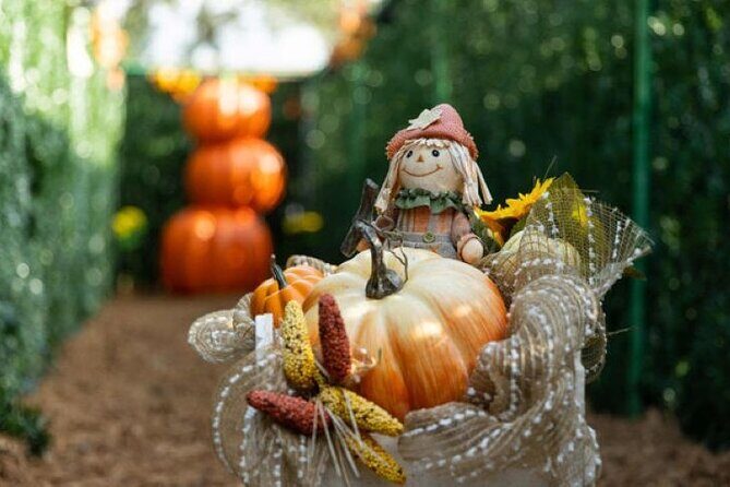 Central Florida Haunted Hayride - Key Points