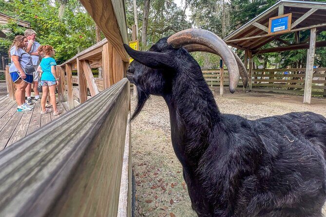 Central Florida Zoo Skip-the-Line Ticket - Who Should Consider This Tour?