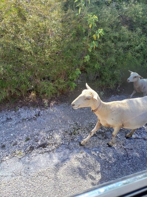 Central Long Island 3 Hour Guided Land Tour - A Detailed Breakdown of the Itinerary