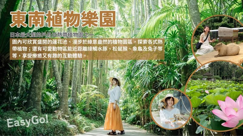 Central Okinawa Day Tour: Hoshino Banta Cafe & Cape Zanpa & Southeast Botanical Gardens & AEON MALL Okinawa Rycom (Chinese-speaking Guide) - AEON Mall Rycom is the grand indoor finale