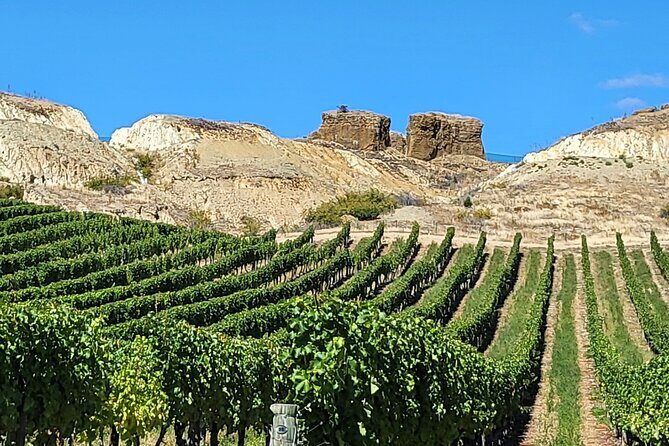 Central Otago Wine Tour Small Group, Expert Guide & Scenic Views - Final Thoughts