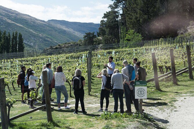 Central Otago Wine Tour with Wine Dog | Adults Only - The Sum Up
