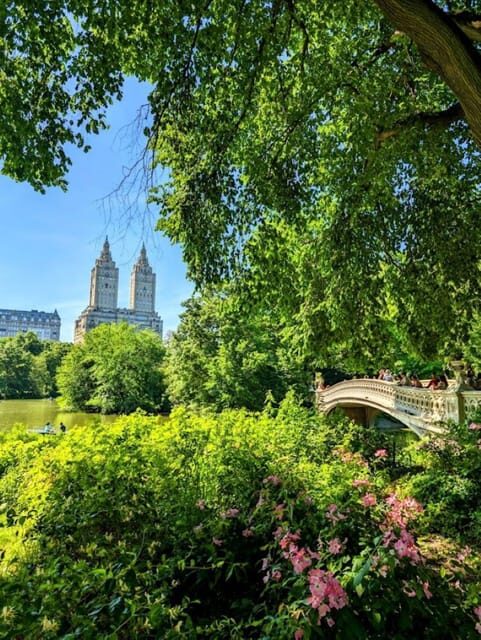 Central Park 5 Star Walking Tour led by Manhattan residents! - Who Will Love This Tour?