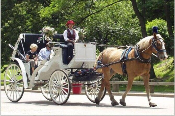 Central Park and NYC Horse Carriage Ride - FAQ: Central Park and NYC Horse Carriage Ride